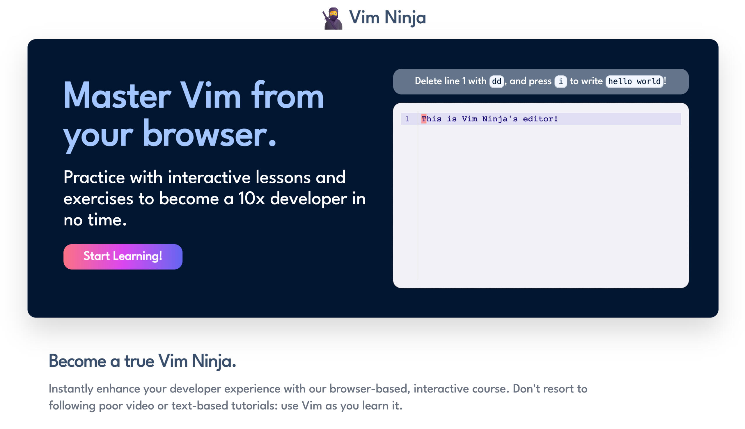 Vim Ninja product interface
